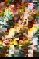 哥布林洞窟动漫1-3季全集免费观看