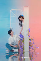 花蝴蝶19免费观看全部电视剧